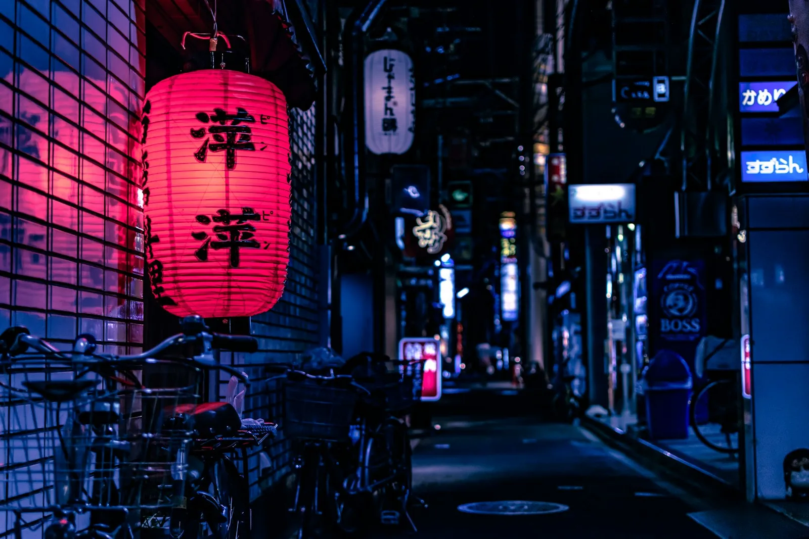Beyond Tokyo: the slow trains worth the detour